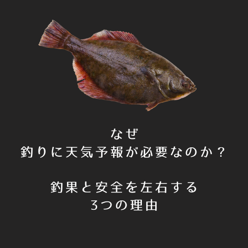 グレーと白　ビンテージ　釣り　ロゴ (5)